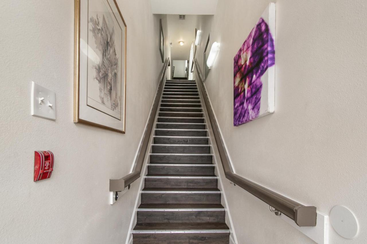 Breathtaking Condos Near French Quarter 新奥尔良 外观 照片